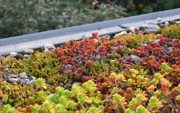 the cost of Eypes Mouth green roof installation