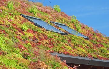 Eypes Mouth living roof systems