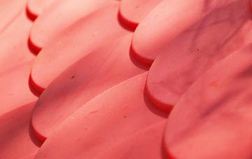 Eypes Mouth plastic roof costs