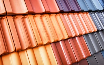 Eypes Mouth roof tile costs