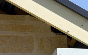 soffit repair Eypes Mouth