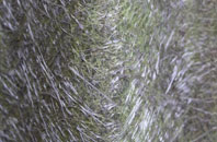 Eypes Mouth fibreglass roof work